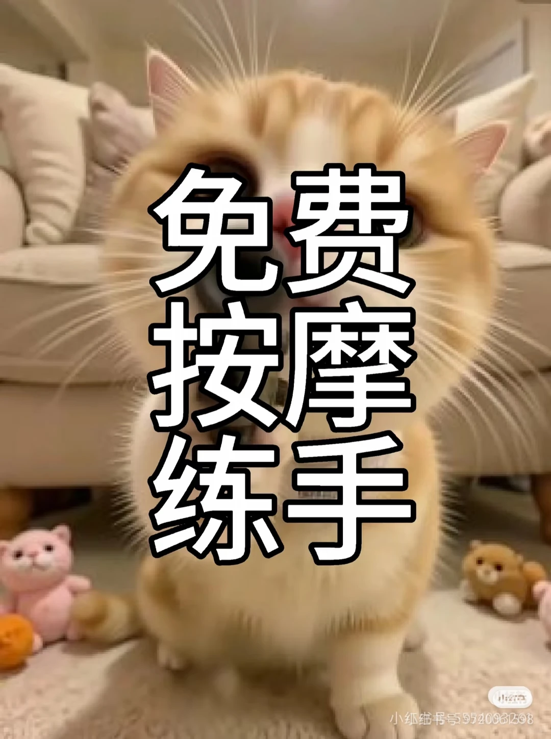笔记图片