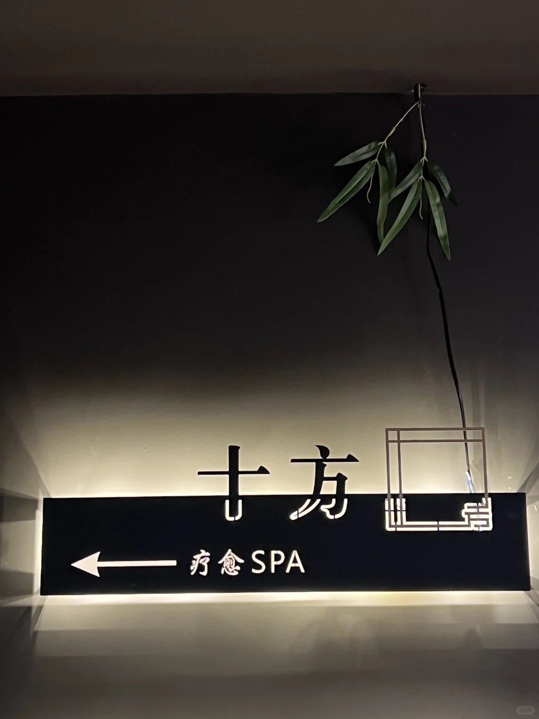 笔记图片