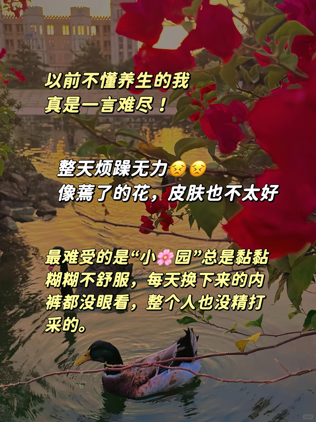 笔记图片