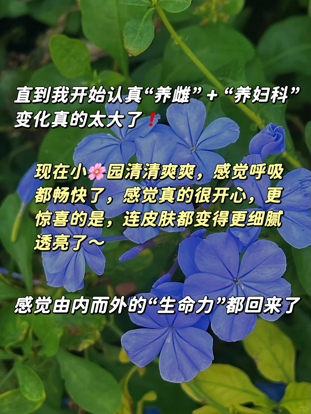 笔记图片