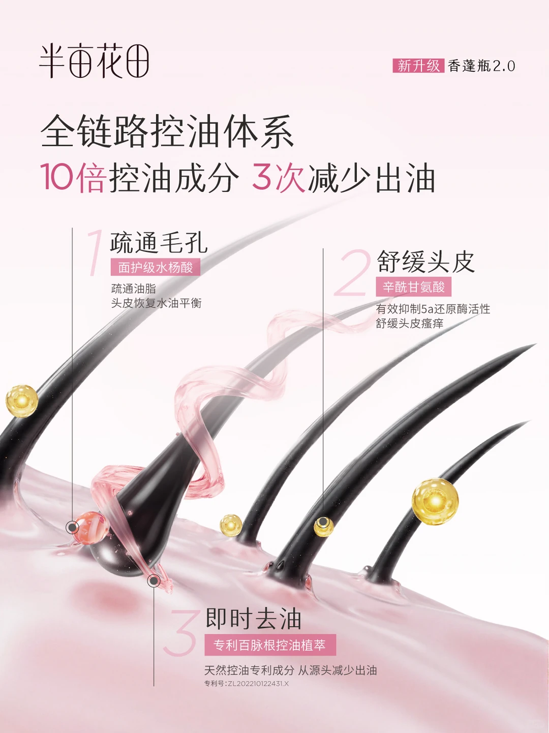 笔记图片