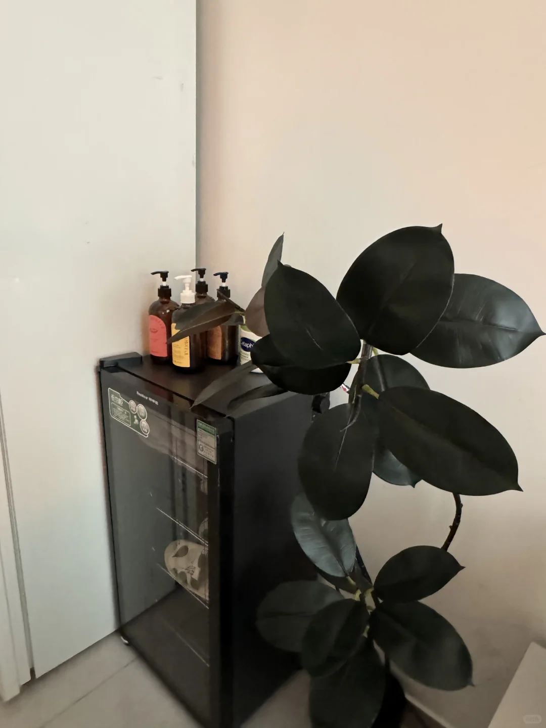 笔记图片