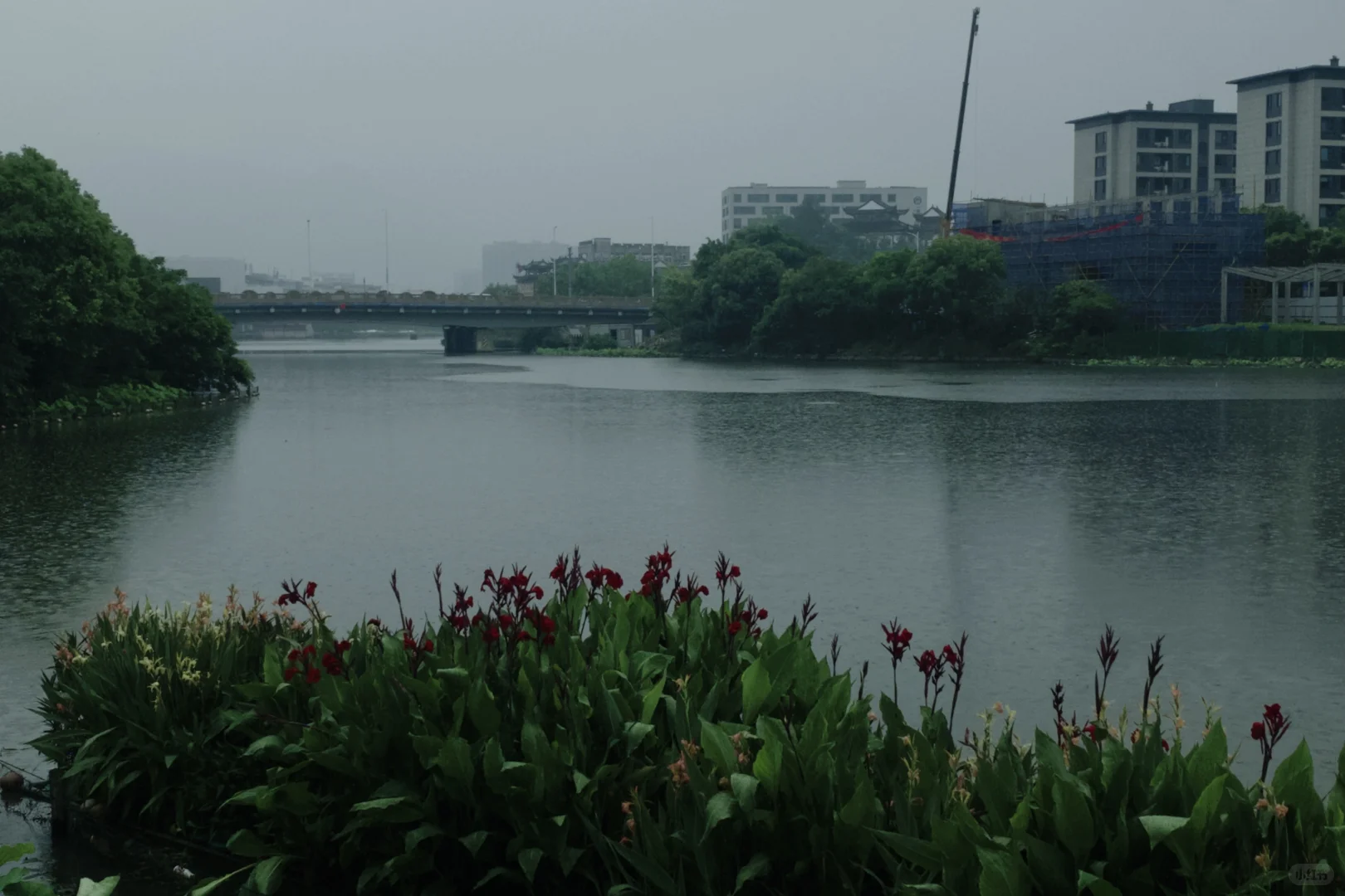 笔记图片