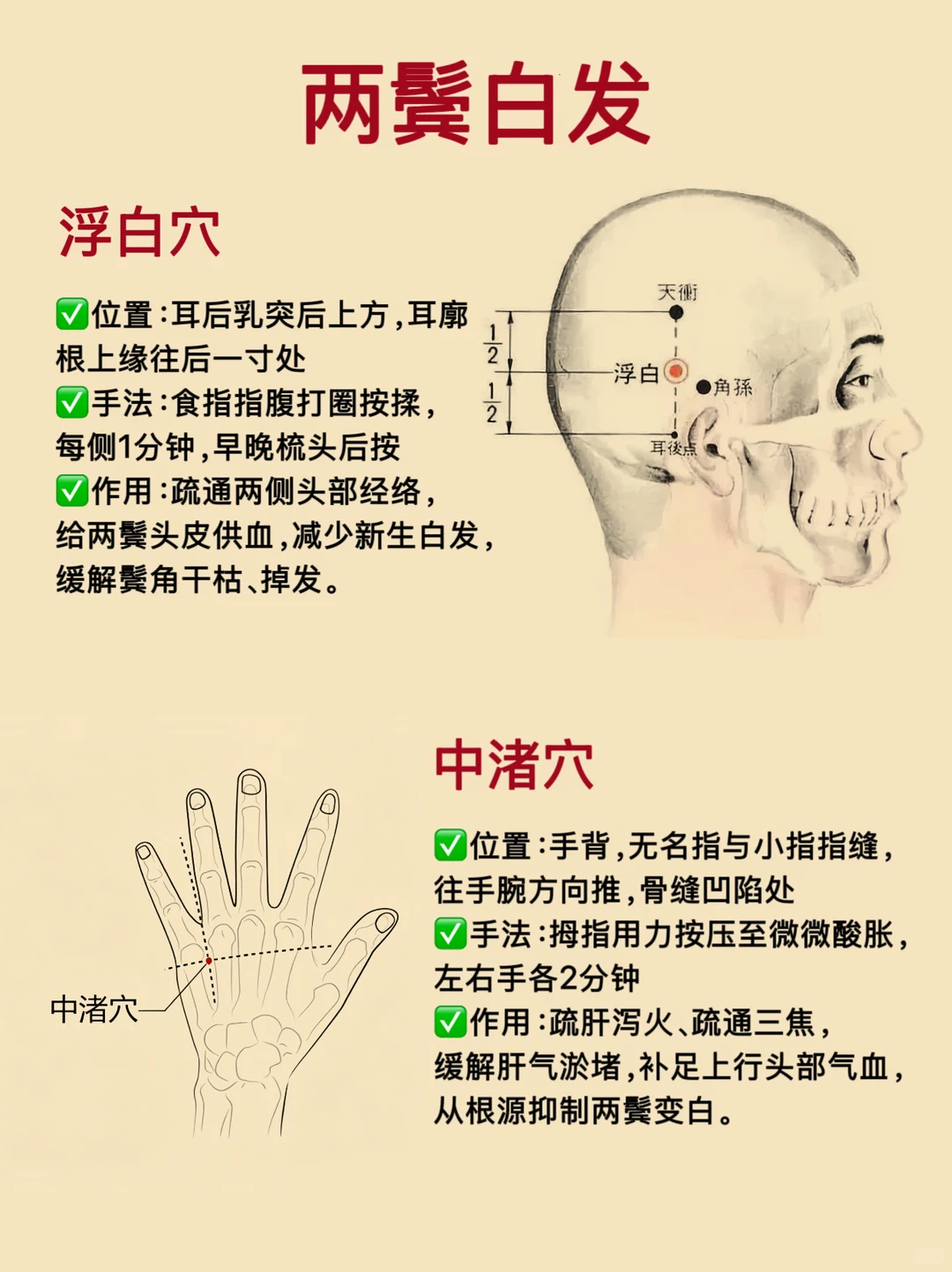 笔记图片