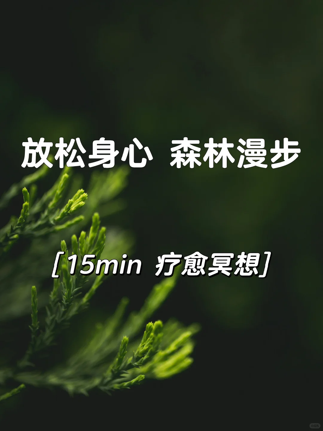 笔记图片