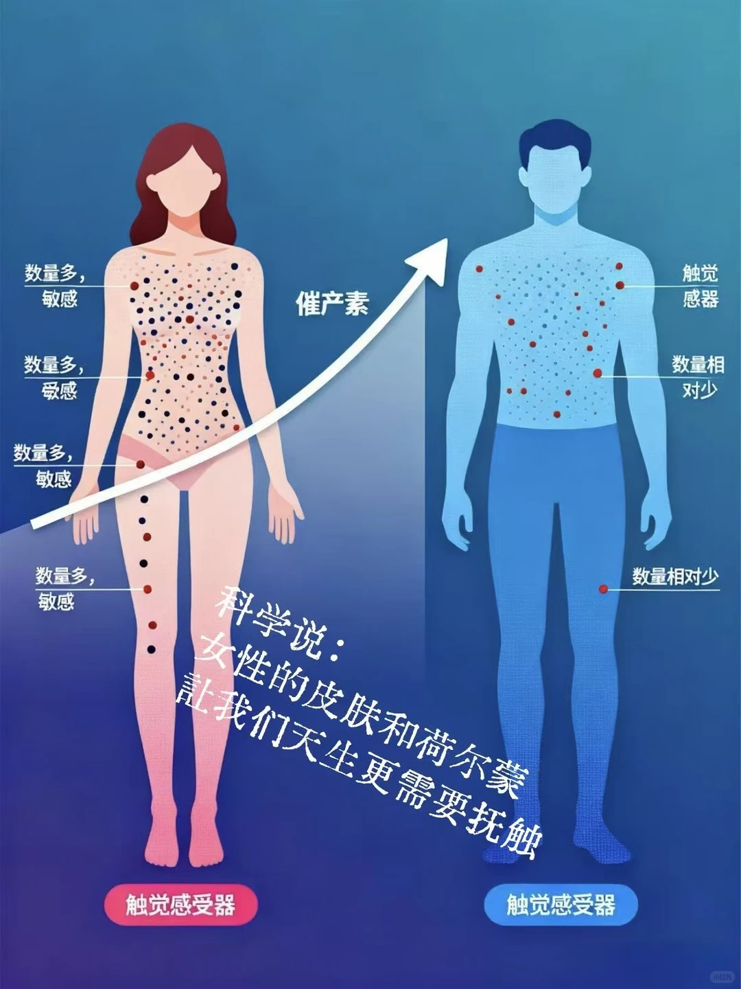笔记图片