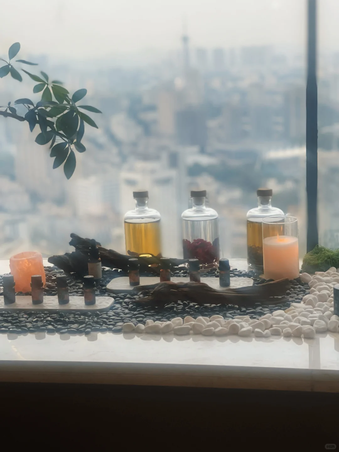 笔记图片