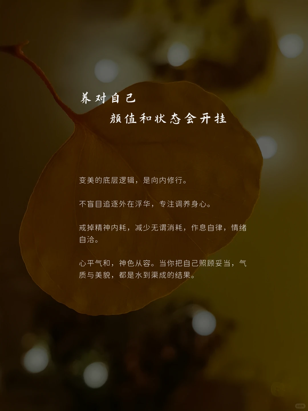 笔记图片