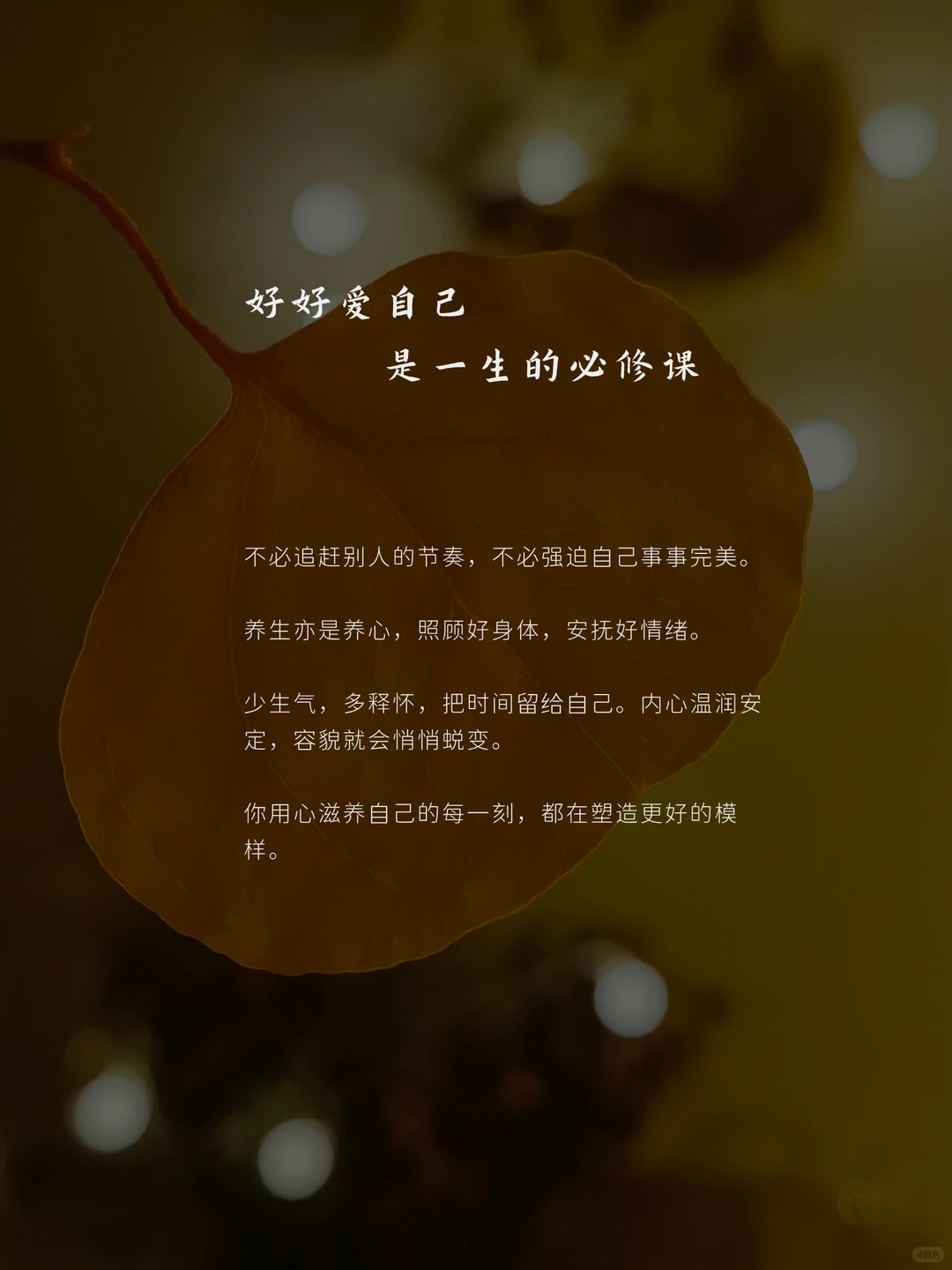笔记图片