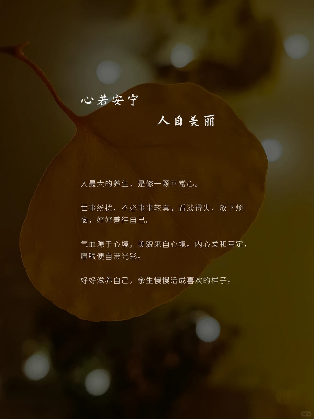 笔记图片