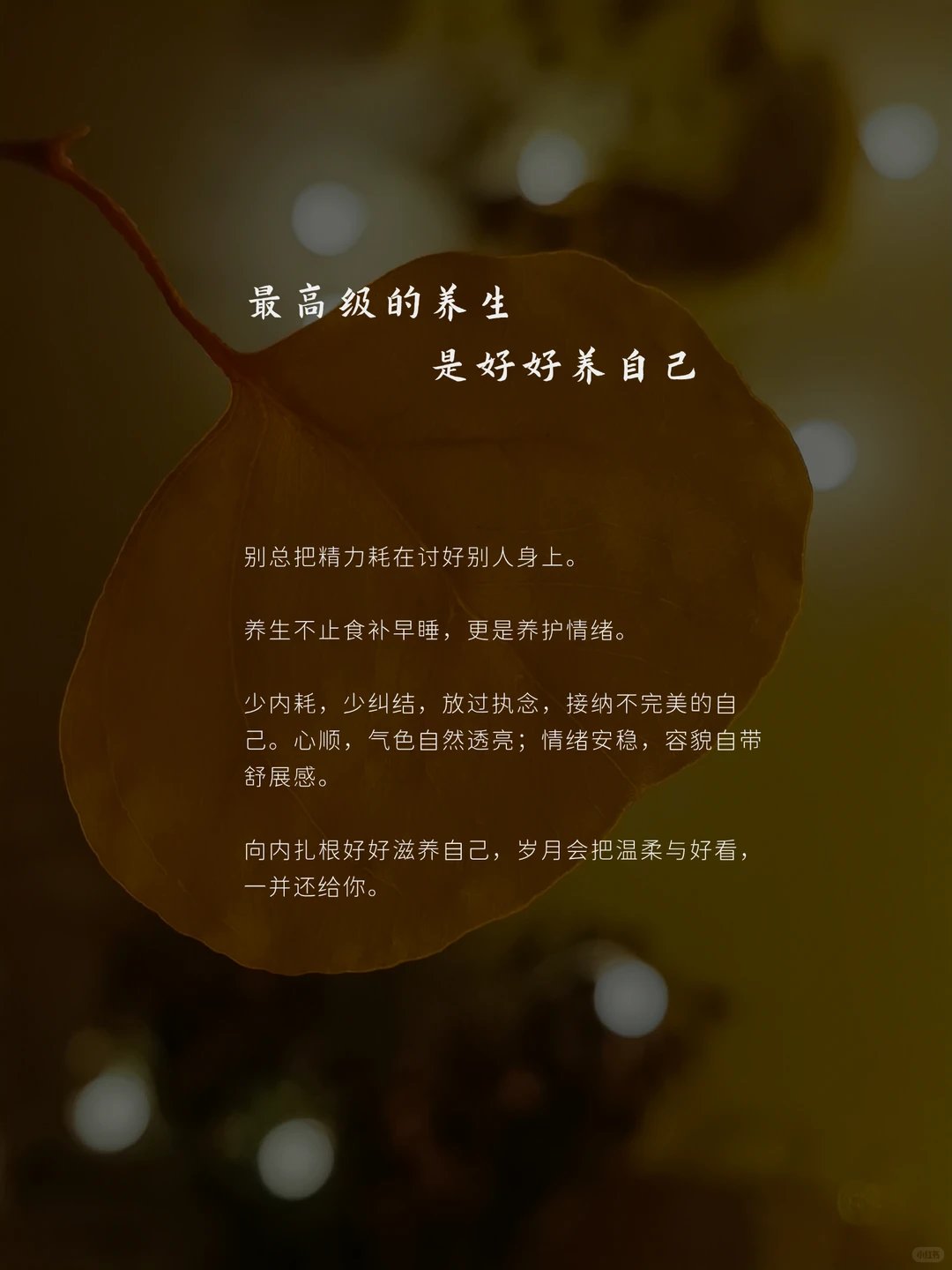 笔记图片