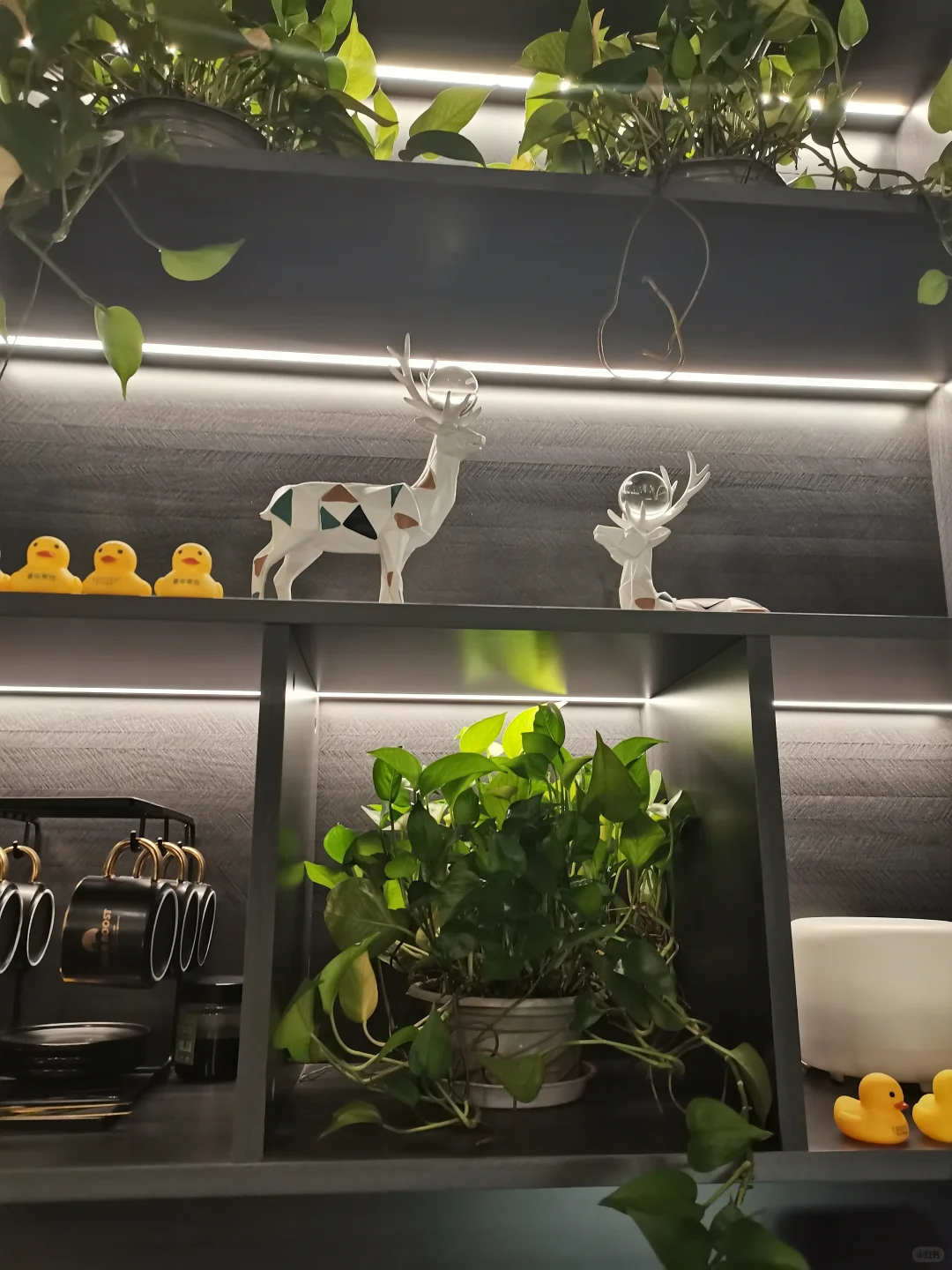 笔记图片