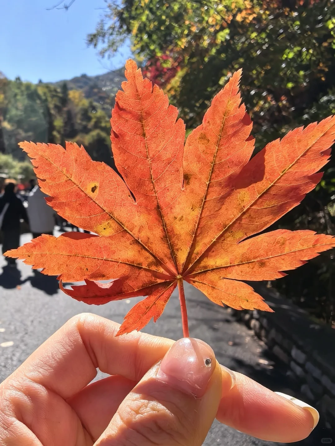 笔记图片