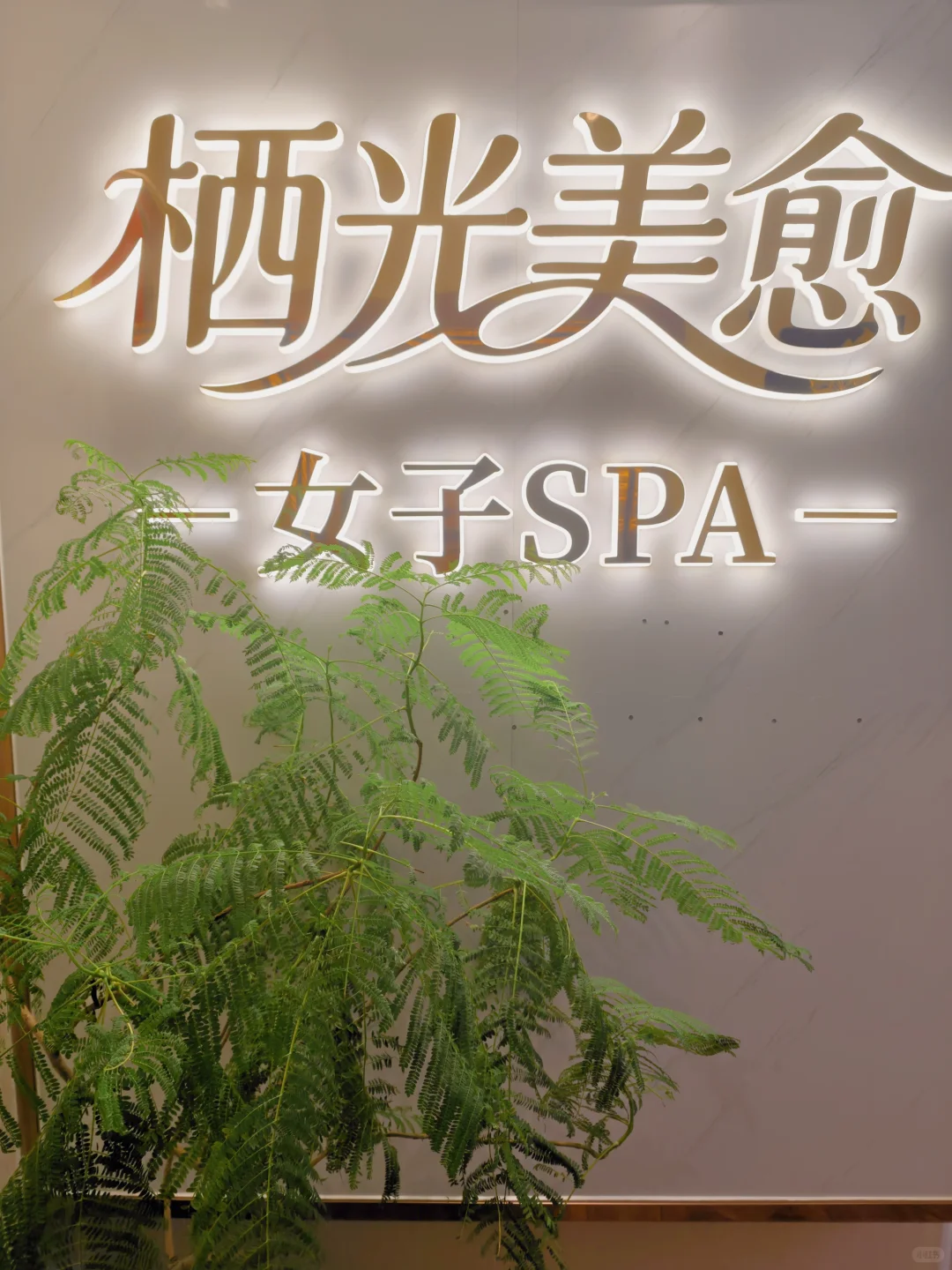 笔记图片