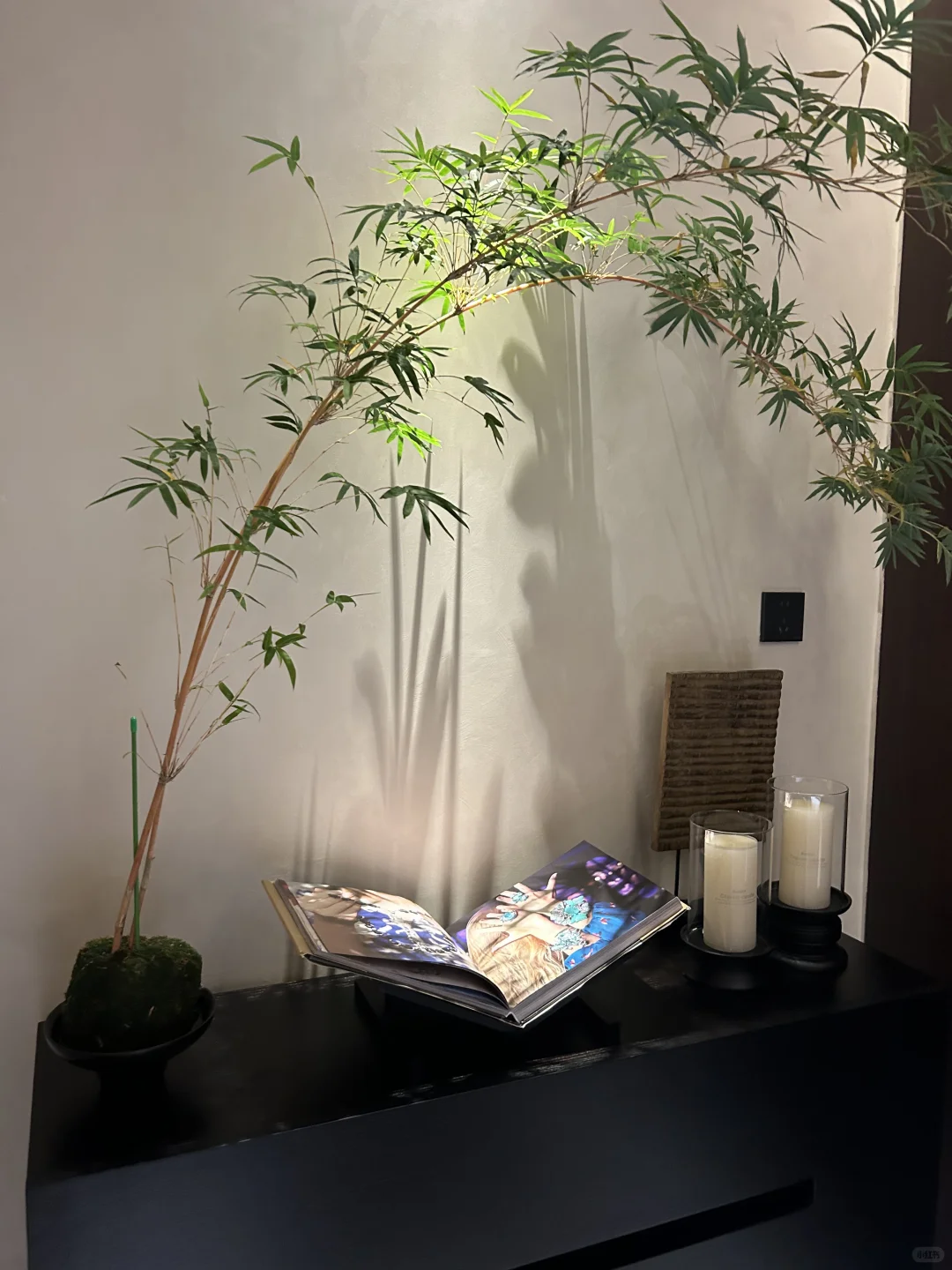 笔记图片